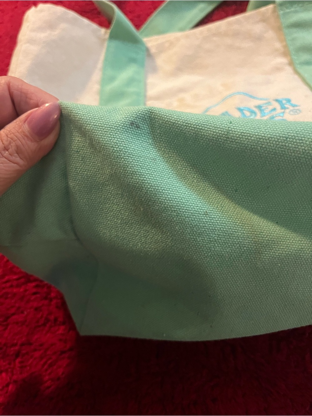Trader Joe’s Mini Canvas Tote/Lunch Bag Pastel Mint Green Natural Reusable 13” - Picture 7 of 10